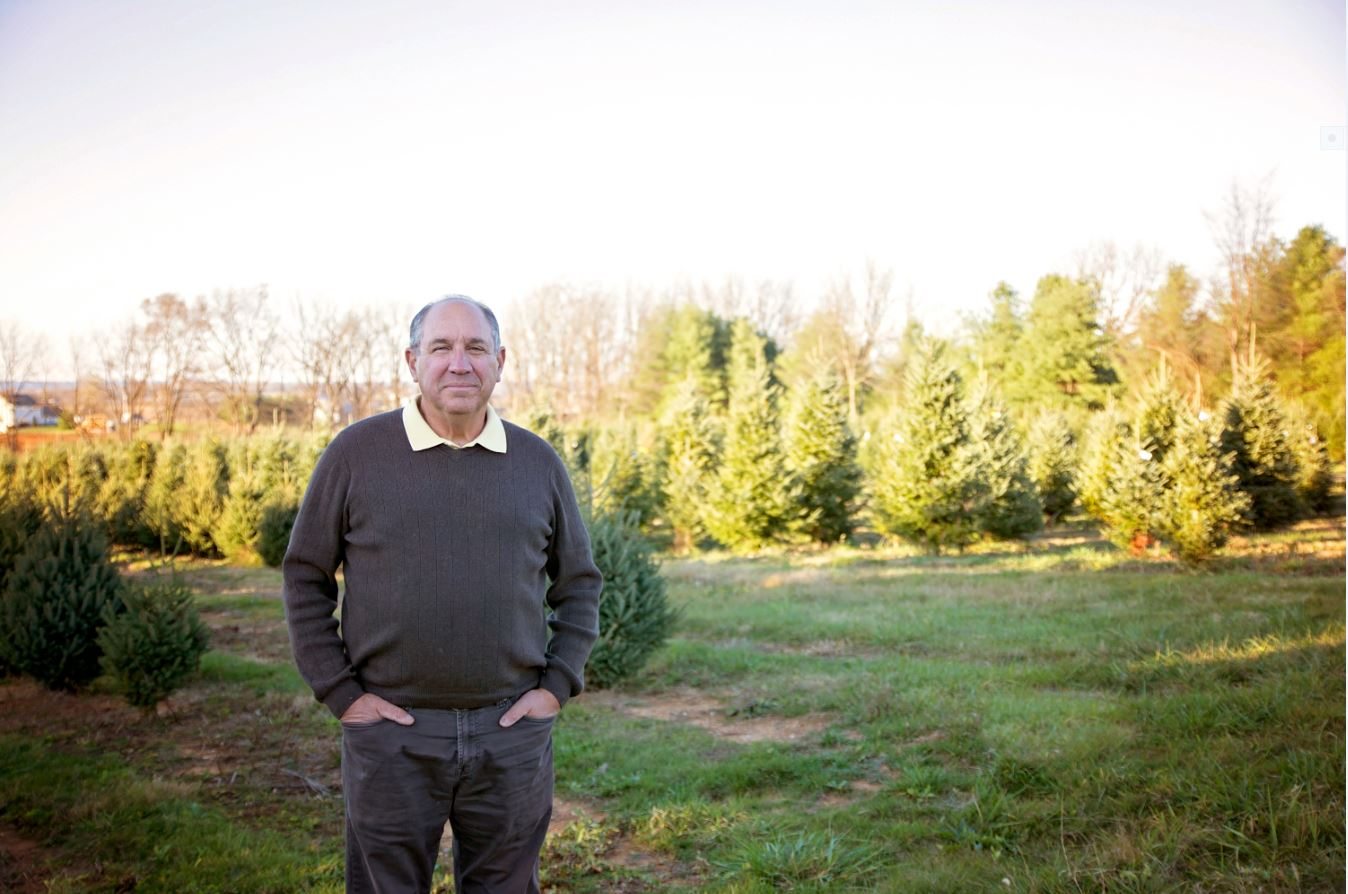 Phil Civello - Owner Misty Run Tree Farm